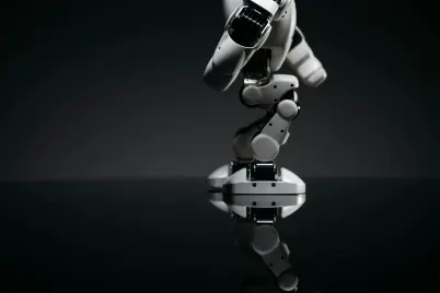 Casino Crypto Wild Application mobile